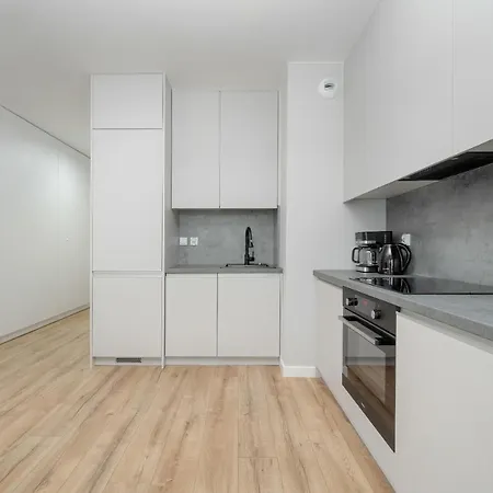 Apartment Elegant In The Center Of With Free Garage By Renters