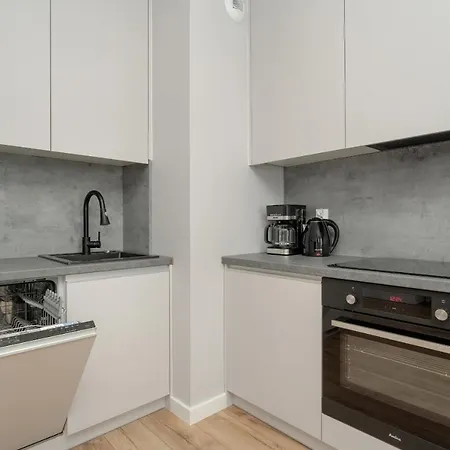 Elegant In The Center Of With Free Garage By Renters Apartmán Vratislav